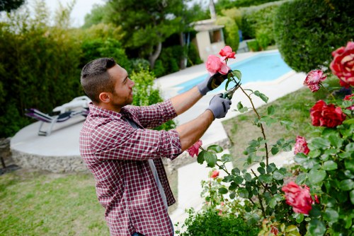 Eco-friendly lawn maintenance practices