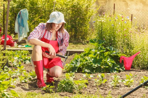Regular lawn maintenance enhancing property value